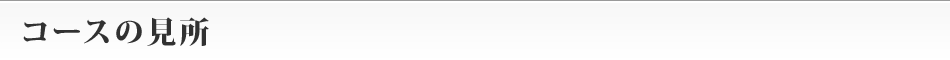 コースの見所